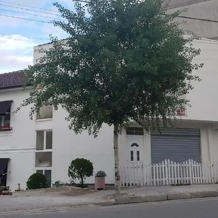 Viktoria & Artan Ambo Pogradec
